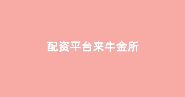 山东股票配资